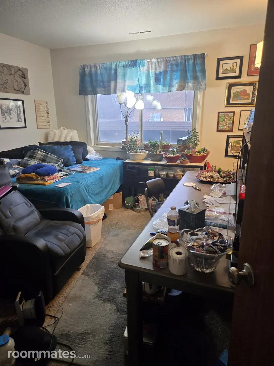 Profile photo 4 of 9