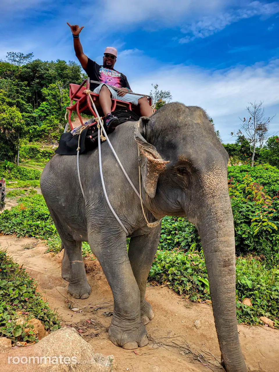 Profile photo 10 of 11