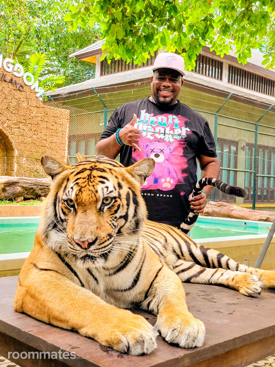 Profile photo 8 of 11