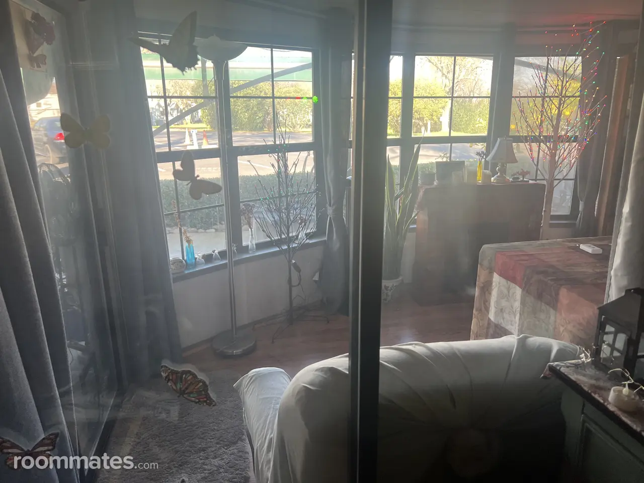 Profile photo 5 of 9