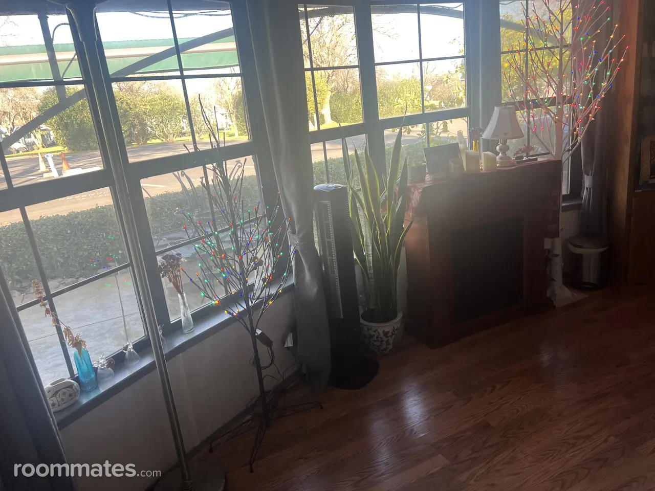 Profile photo 6 of 9