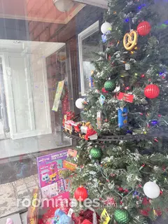 Roommate looking Troy, NY, $800