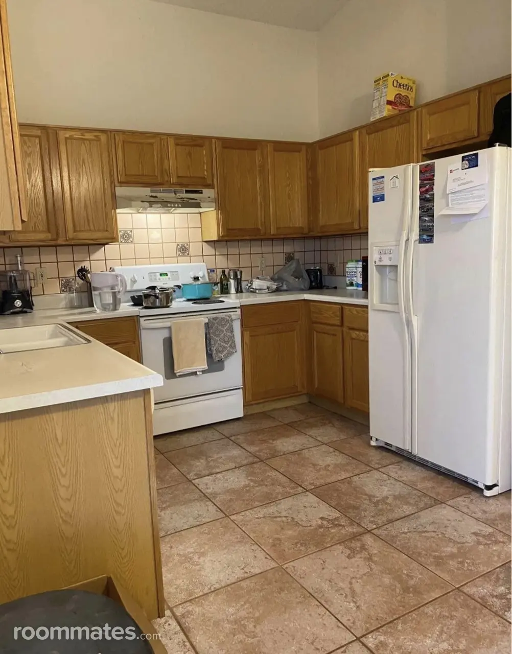 Profile photo 9 of 11