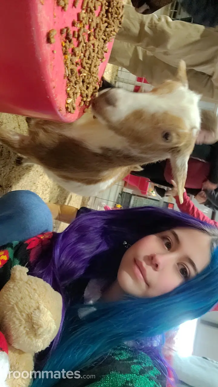 Profile photo 8 of 12