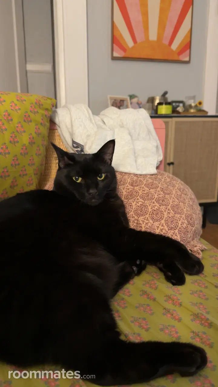 Profile photo 2 of 3