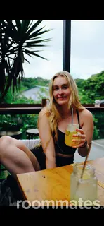 Roommate looking Warrenton, VA, $1100