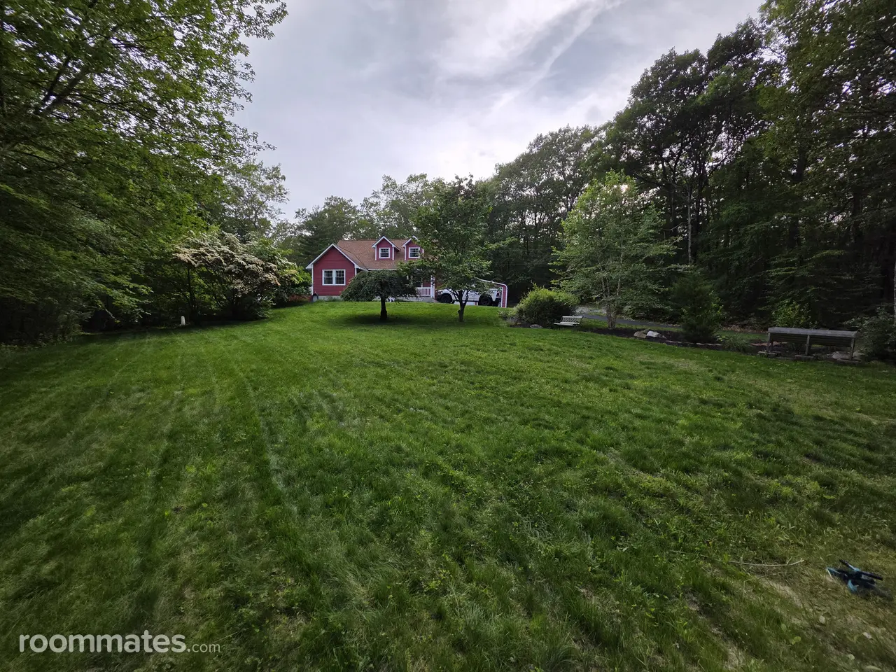 Profile photo 1 of 2