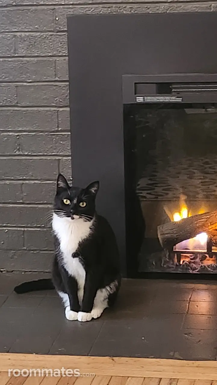 Profile photo 6 of 10