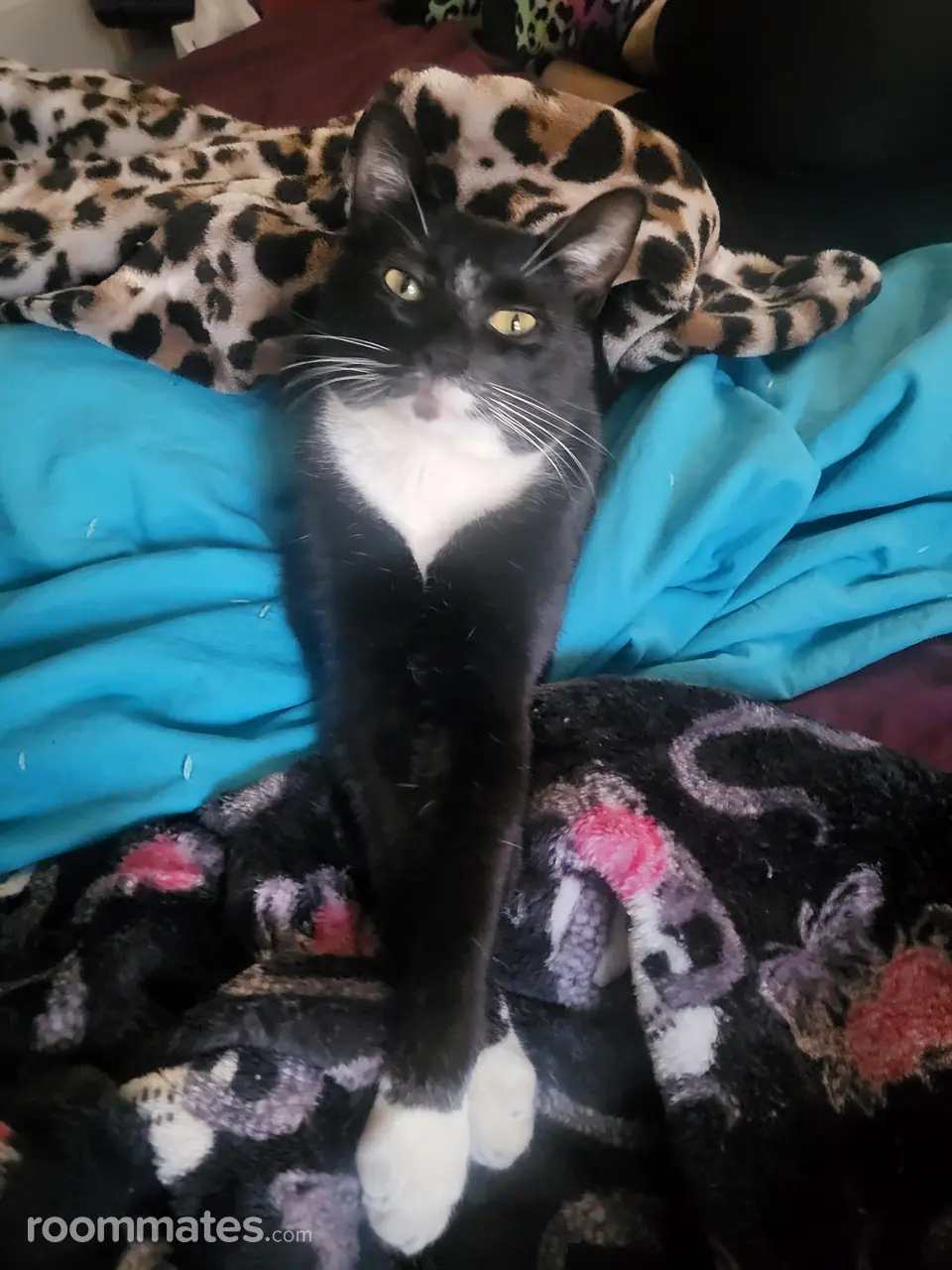 Profile photo 7 of 10