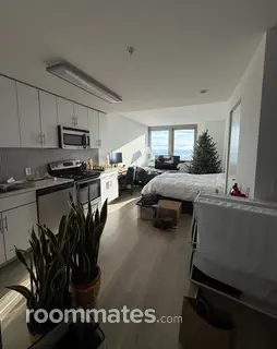 Room for rent in Jersey City, NJ $3000, apartment