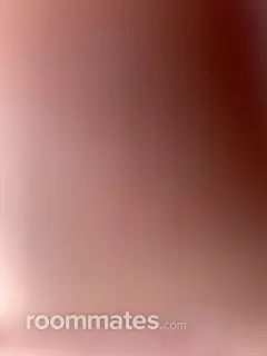 Roommate looking Bridgeport, CT, $800