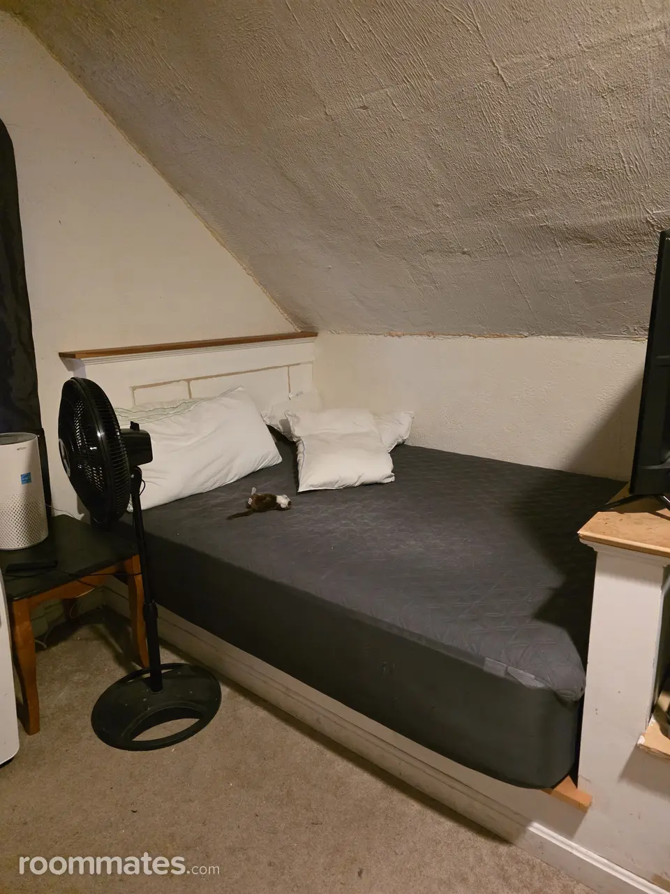 Profile photo 1 of 5