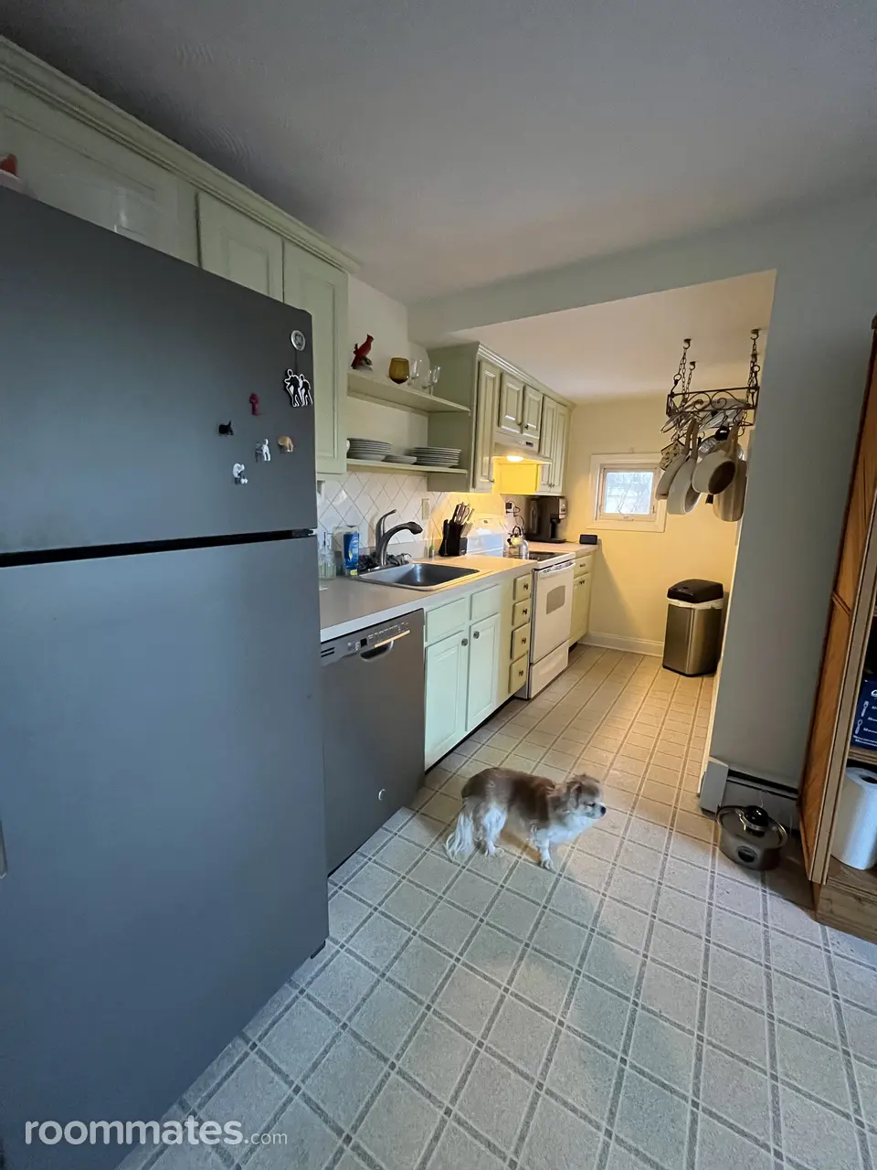 Profile photo 9 of 10