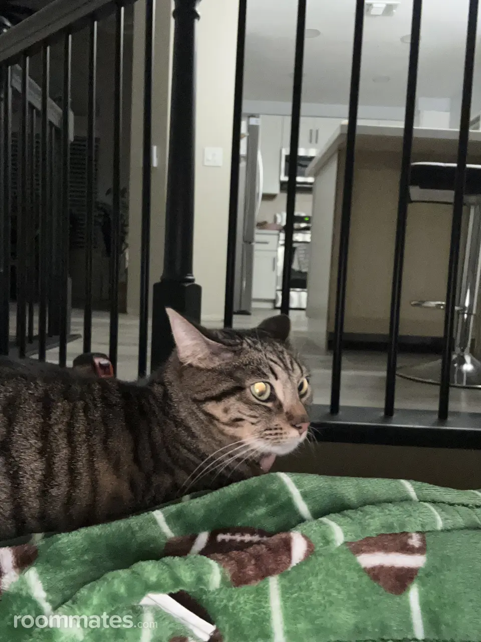 Profile photo 10 of 10