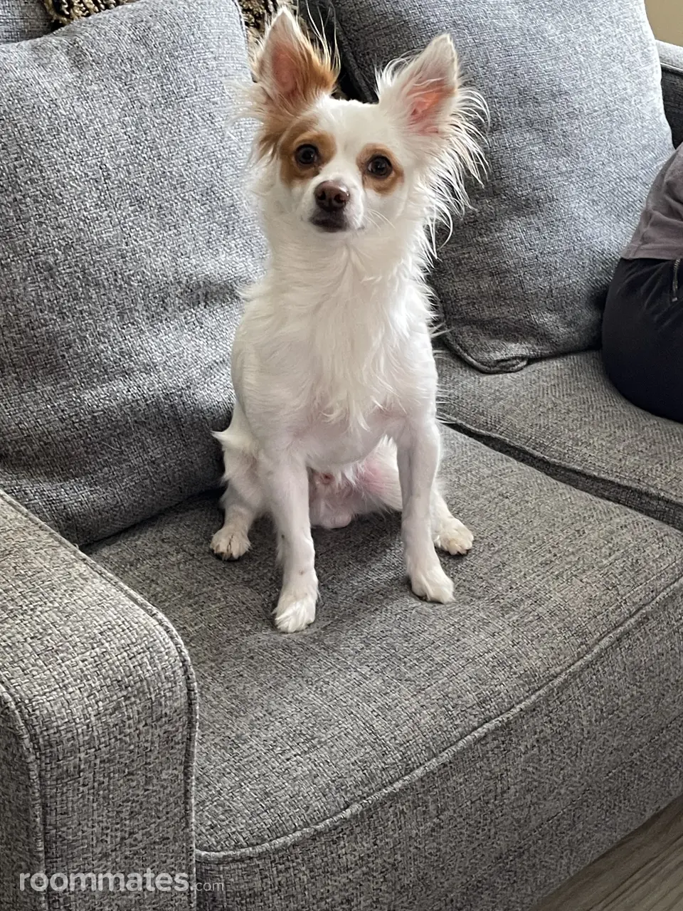 Profile photo 3 of 3