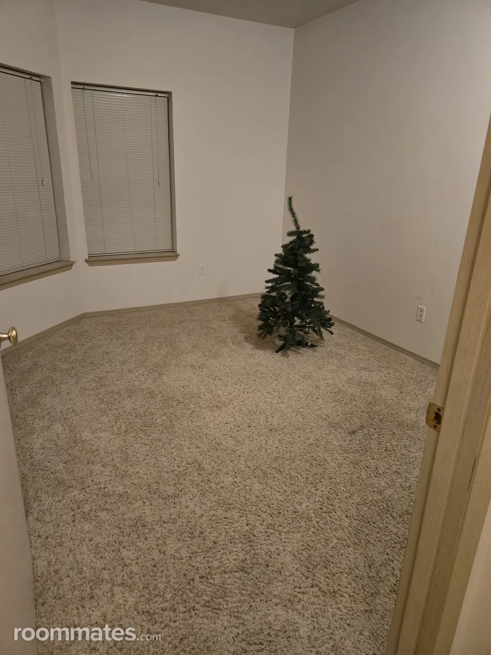 Profile photo 4 of 6