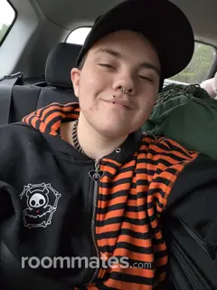 Roommate looking Brockport, NY, $200