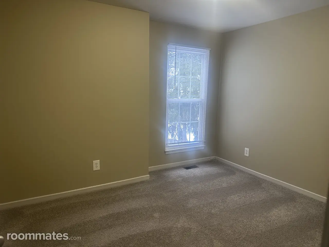 Profile photo 7 of 11