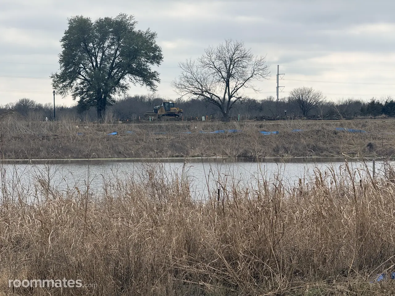 Profile photo 10 of 15