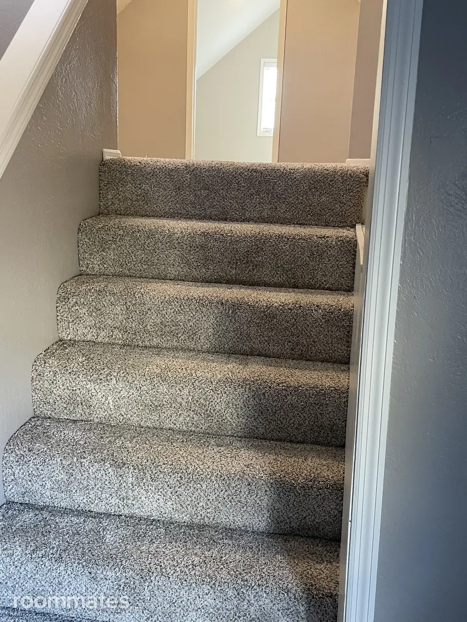 Profile photo 4 of 7