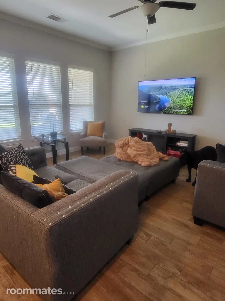 Profile photo 1 of 17