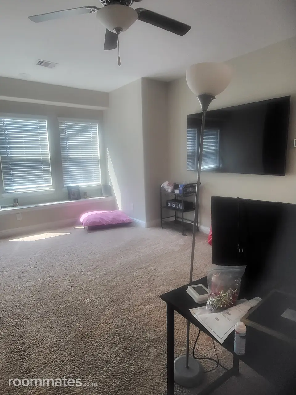 Profile photo 4 of 17