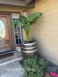 Room for rent in Lathrop, CA $850, house