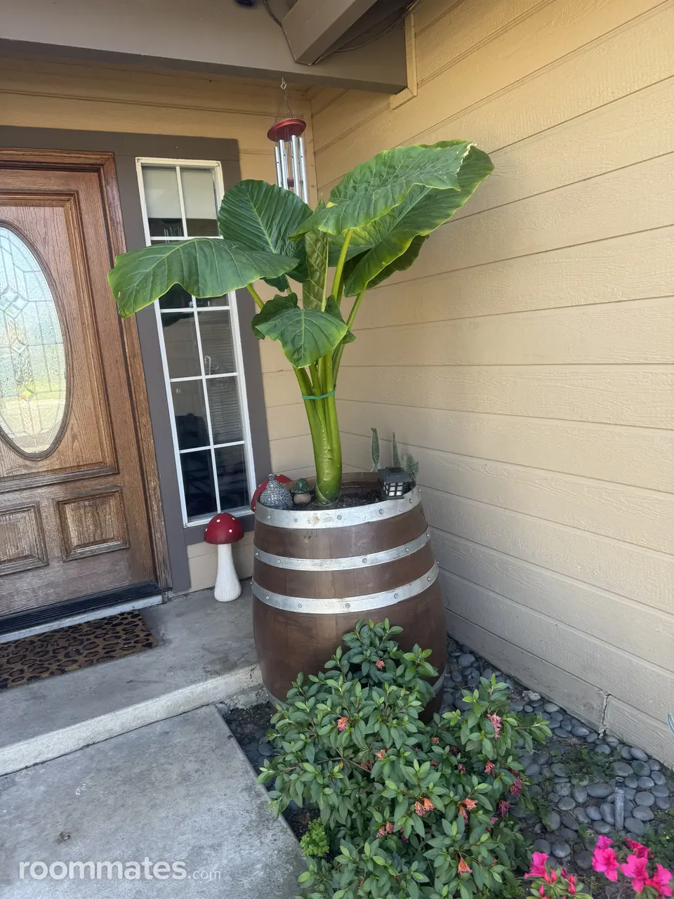 Profile photo 2 of 3