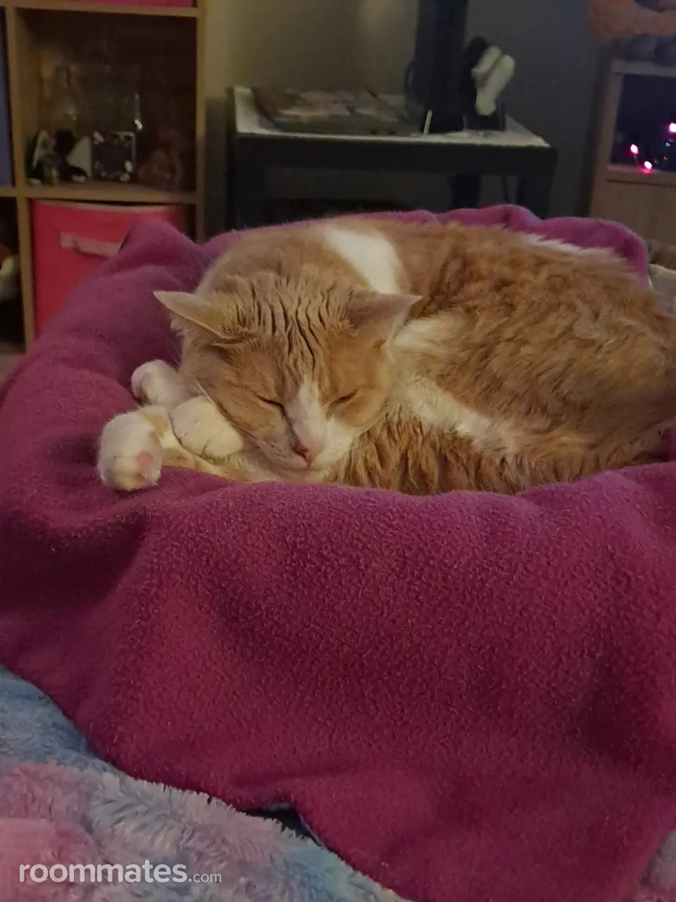 Profile photo 7 of 7