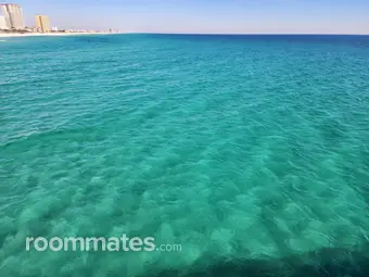 Roommate looking Pensacola, FL, $1000
