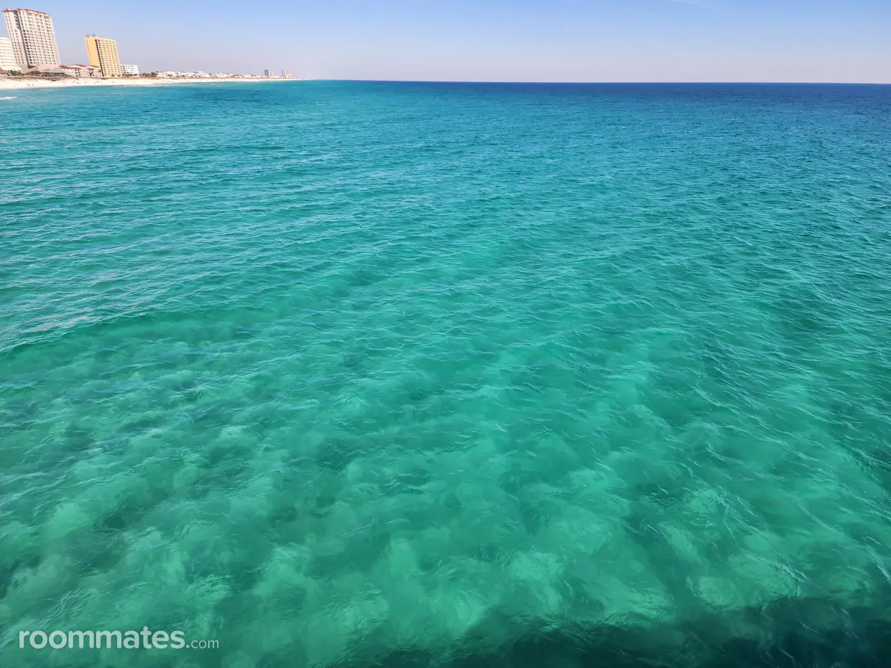 Profile photo 1 of 1