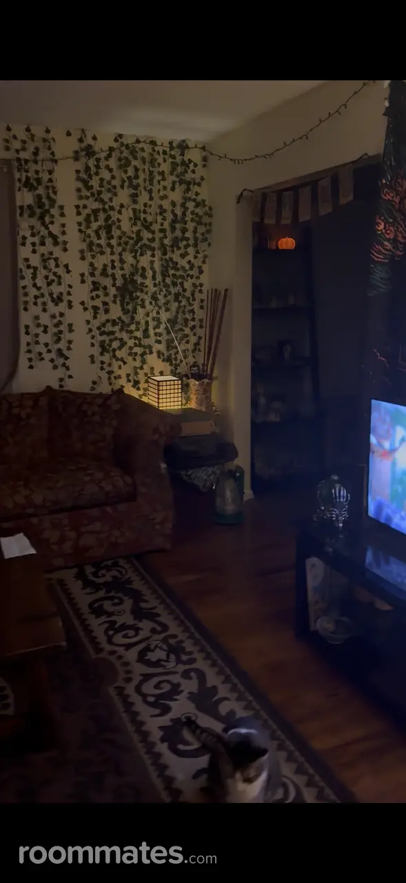 Profile photo 4 of 7