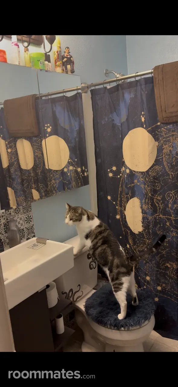 Profile photo 5 of 7