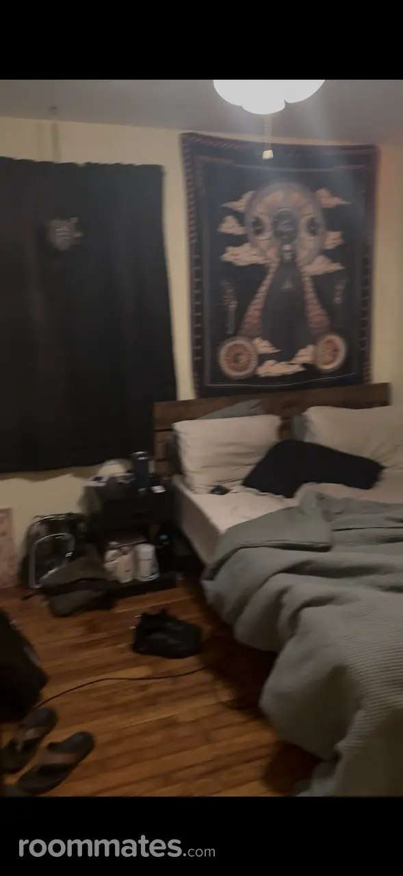 Profile photo 6 of 7