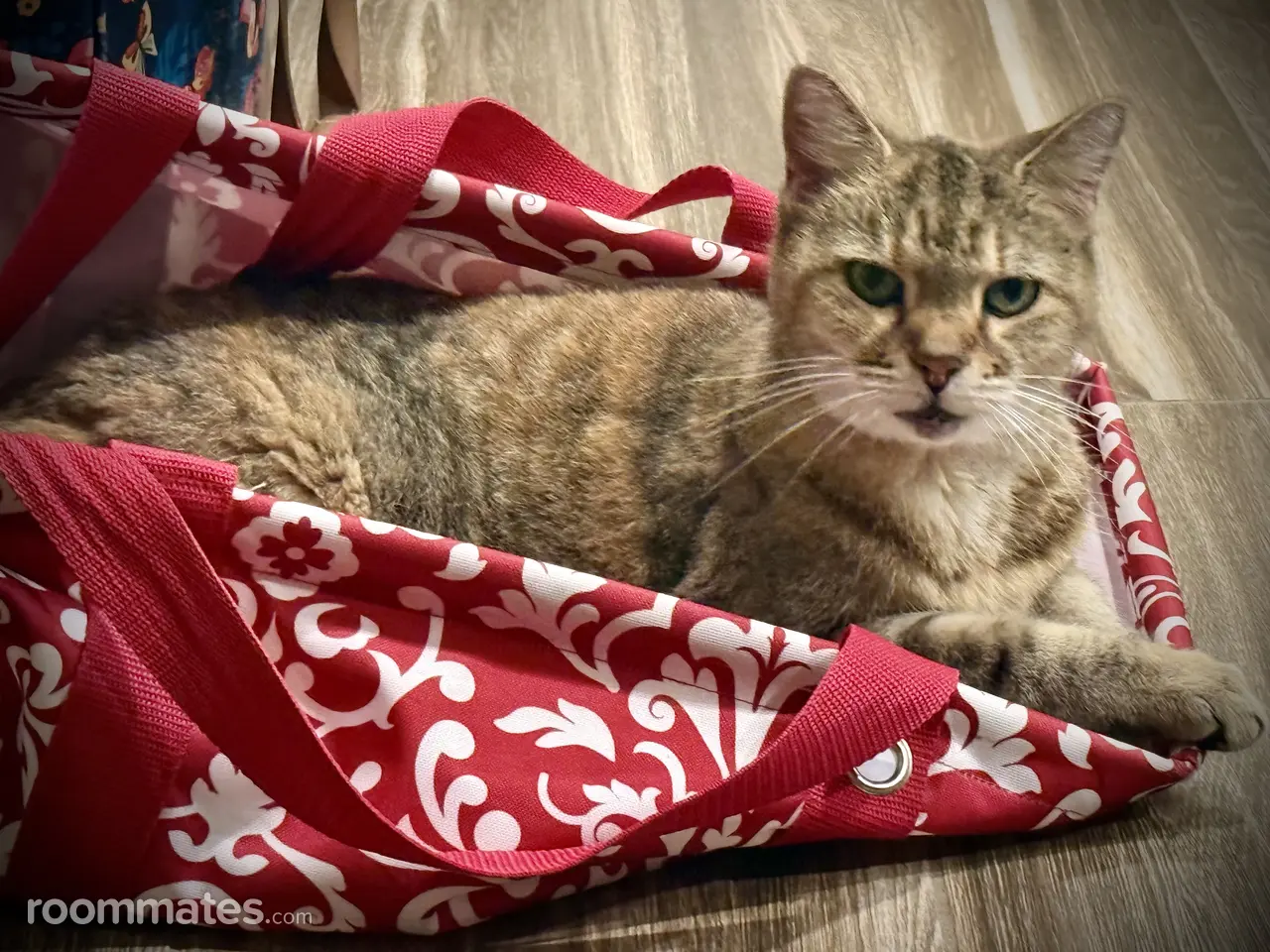 Profile photo 12 of 18