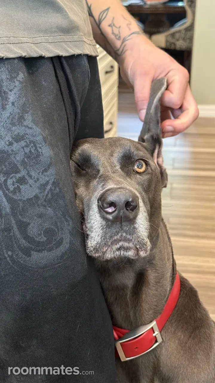 Profile photo 11 of 18