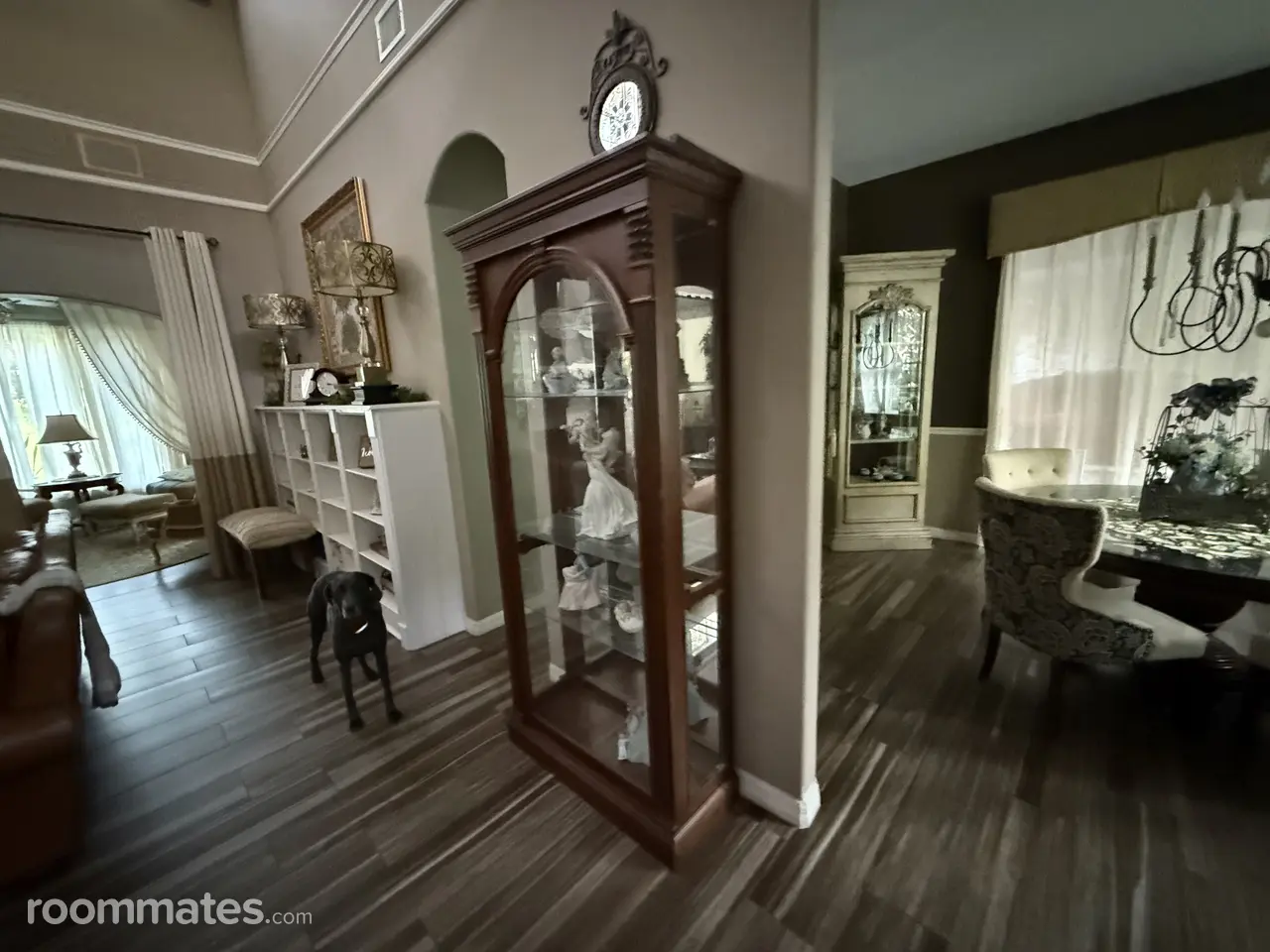 Profile photo 8 of 18