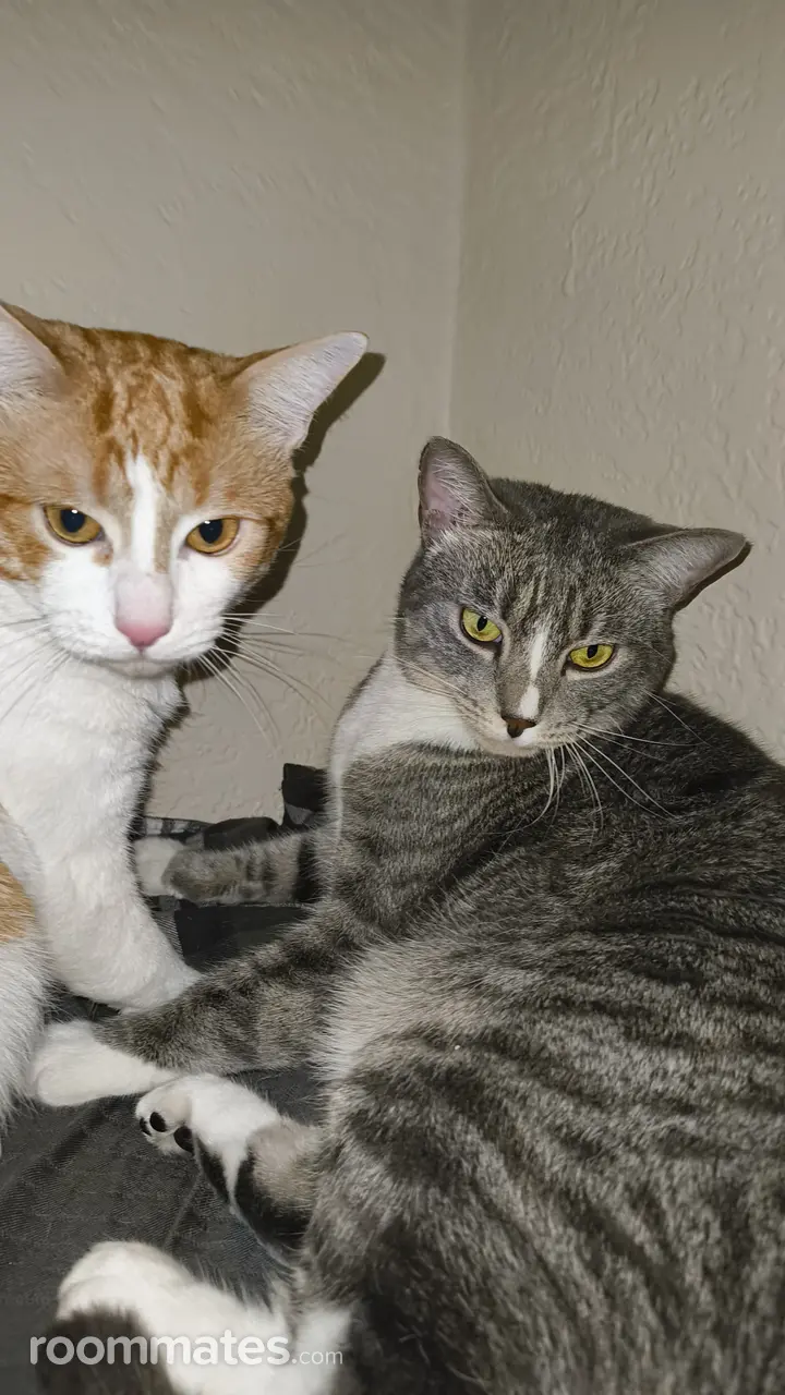 Profile photo 1 of 1