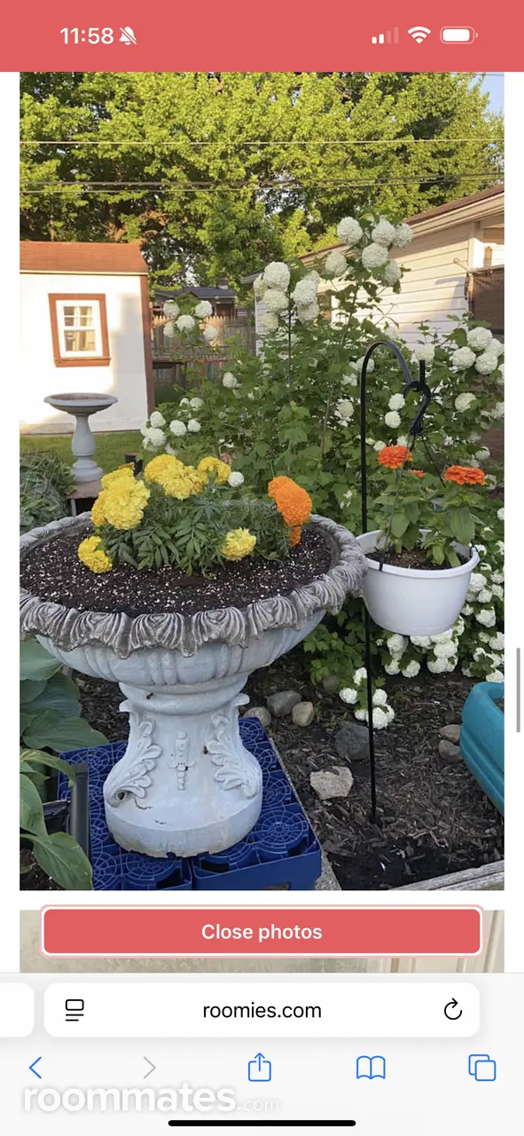 Profile photo 9 of 10