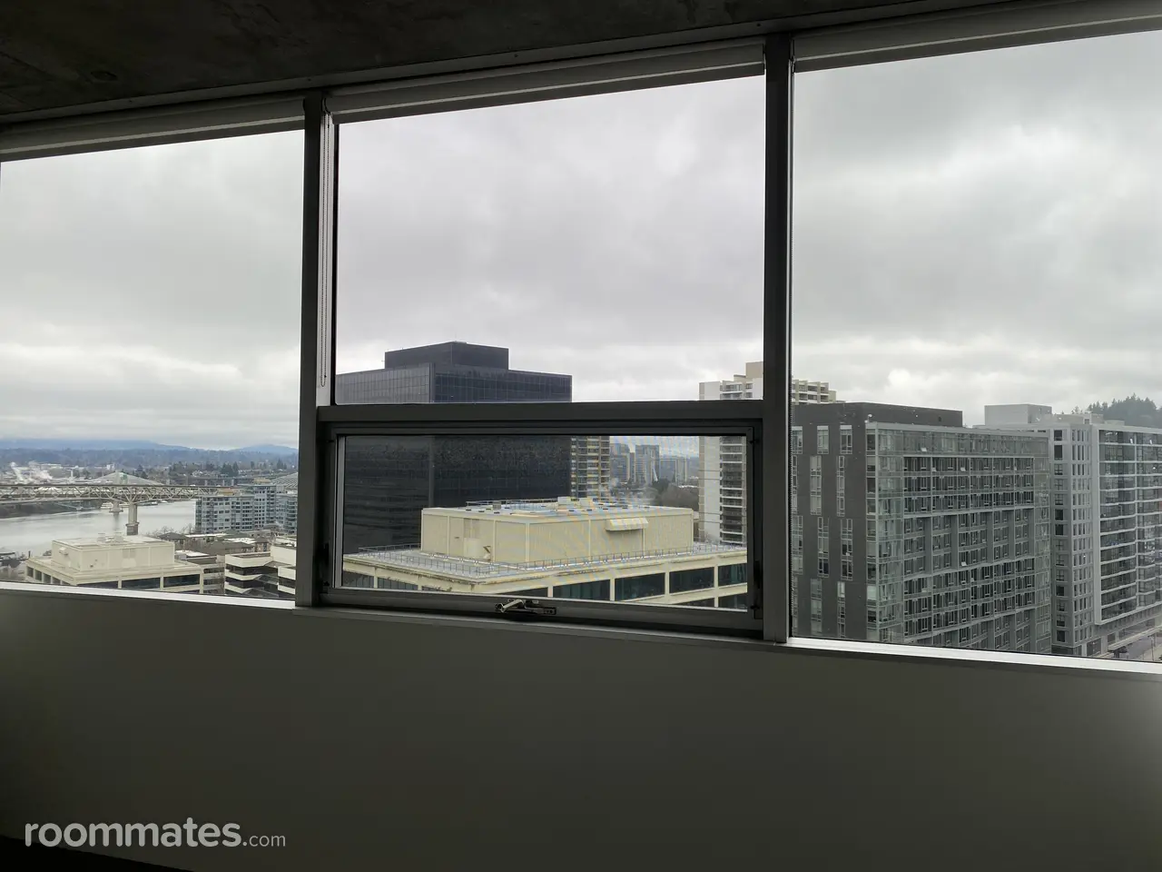 Profile photo 6 of 12