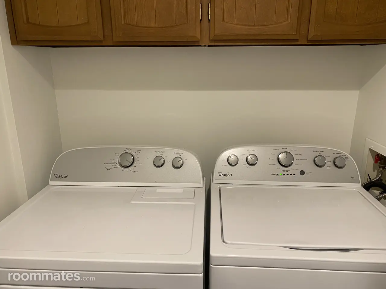 Profile photo 3 of 12