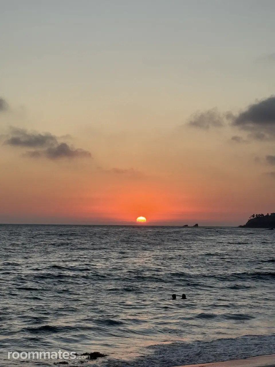 Profile photo 1 of 1