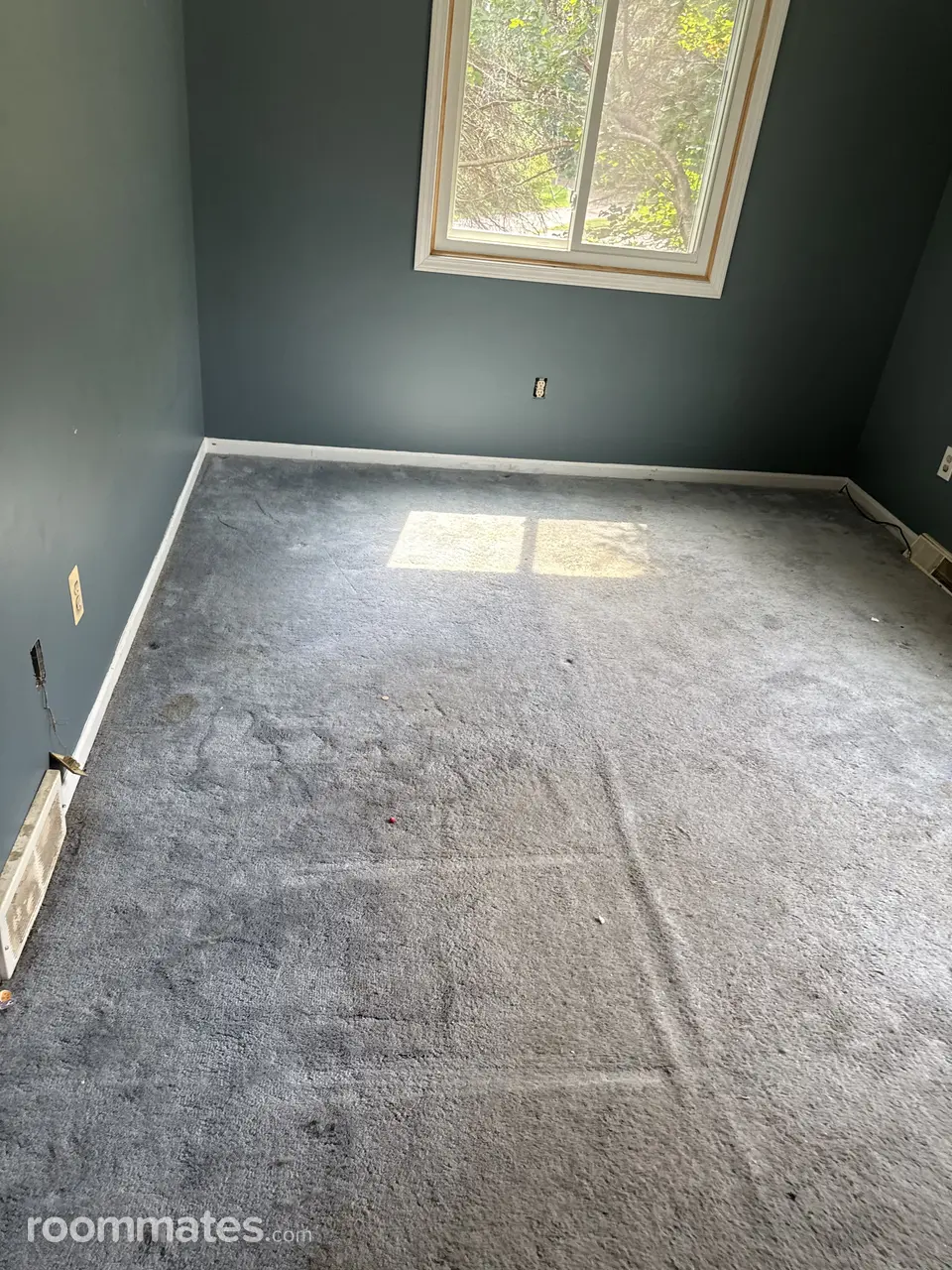 Profile photo 1 of 2