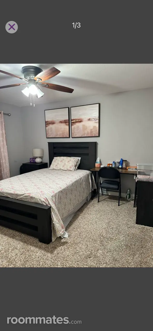 Profile photo 4 of 7