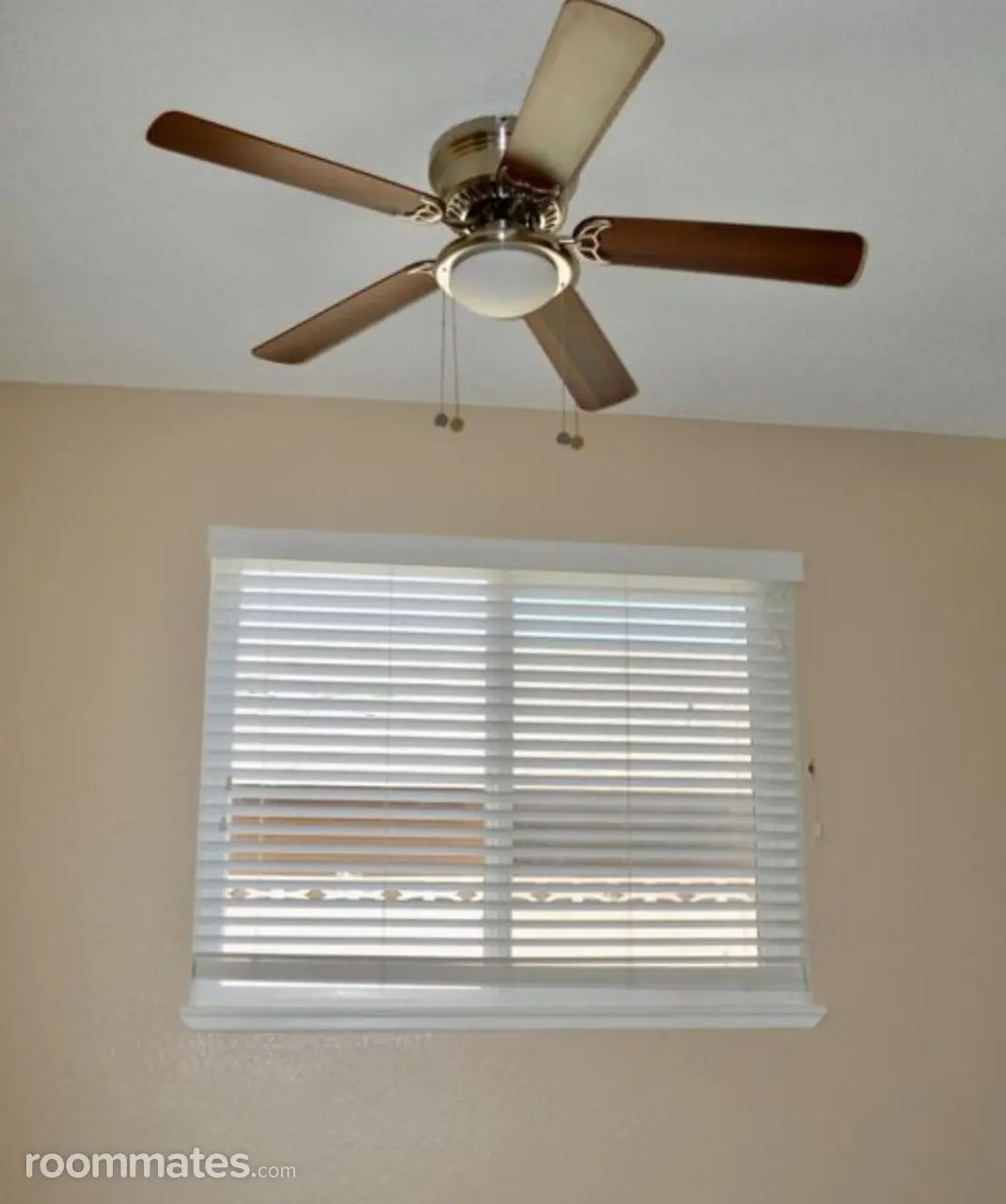 Profile photo 4 of 6