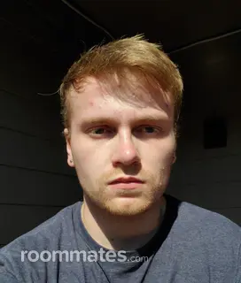 Roommate looking Eugene, OR, $700