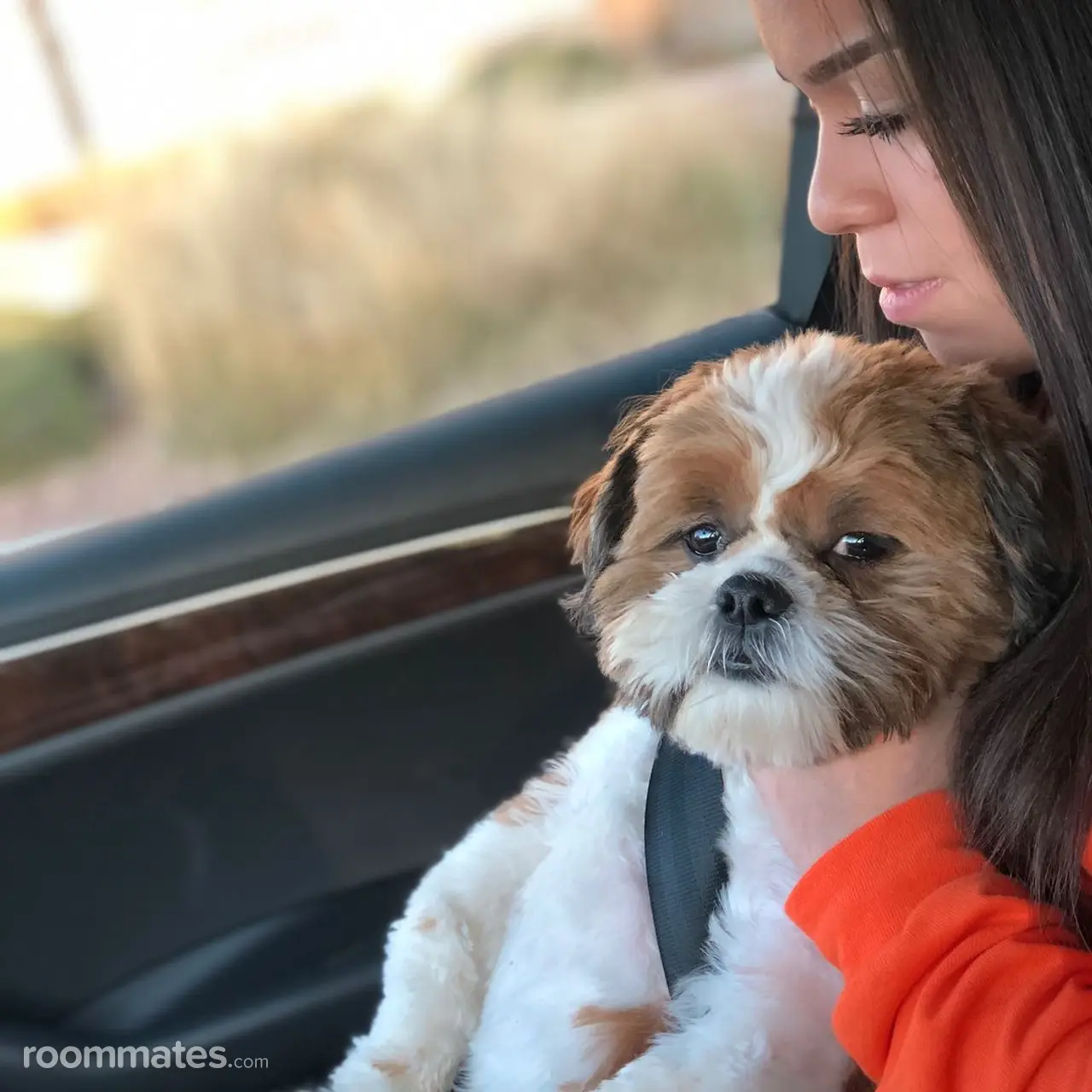 Profile photo 4 of 6