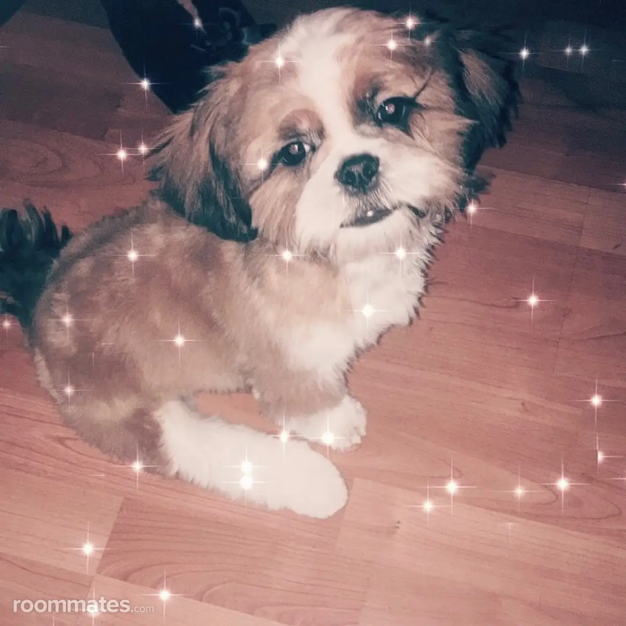 Profile photo 5 of 6