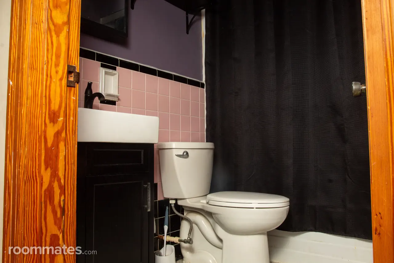 Profile photo 6 of 14