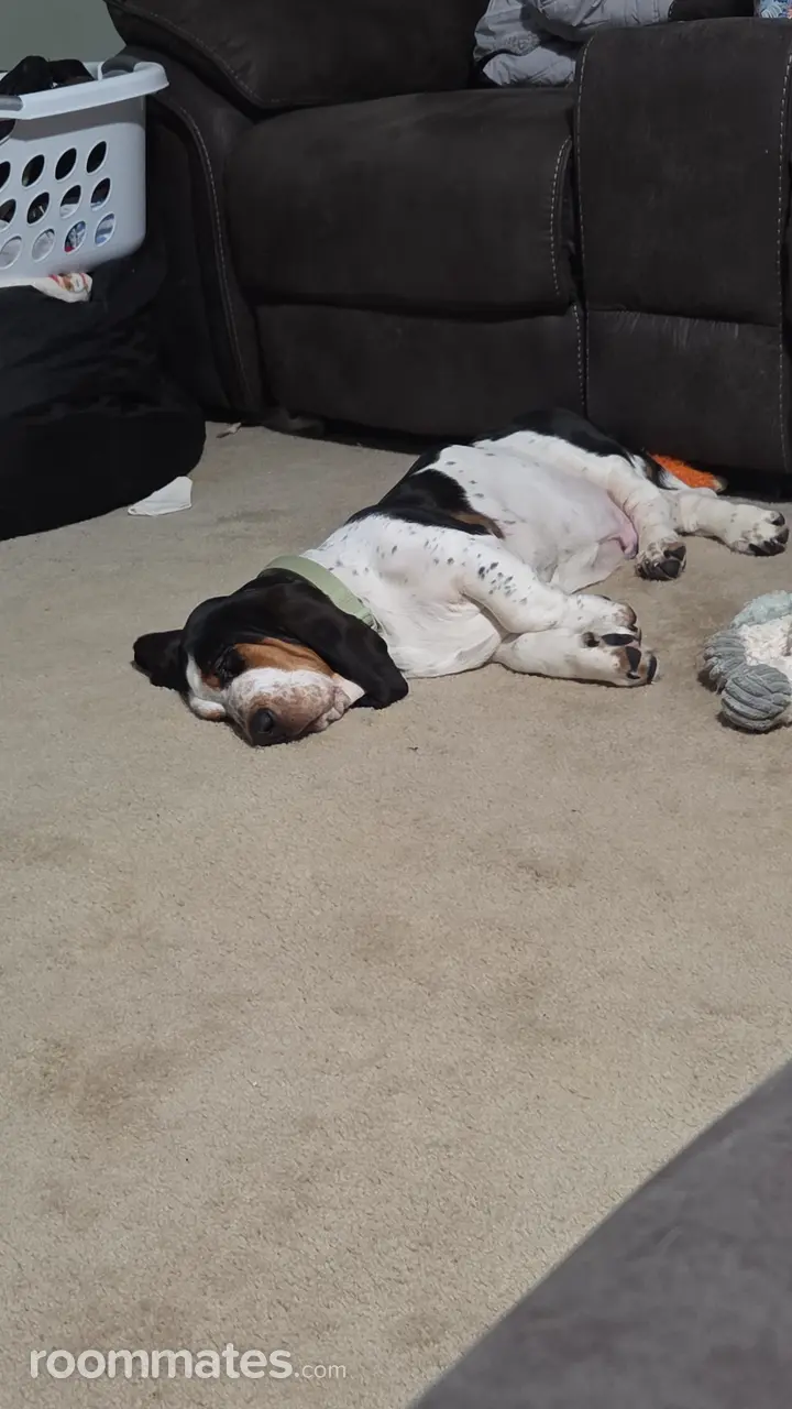 Profile photo 2 of 3